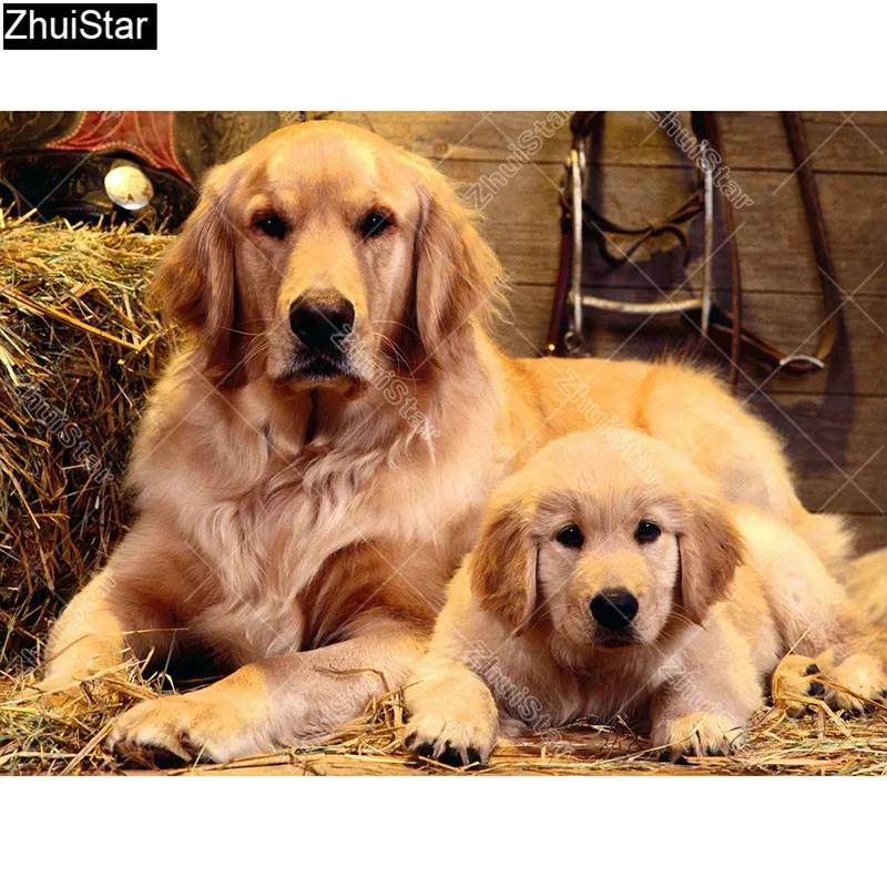 

Zhui Star Full Square Drill 5D DIY Diamond Painting "Two dogs" 3D Embroidery Cross Stitch Rhinestone Mosaic Decor lyc