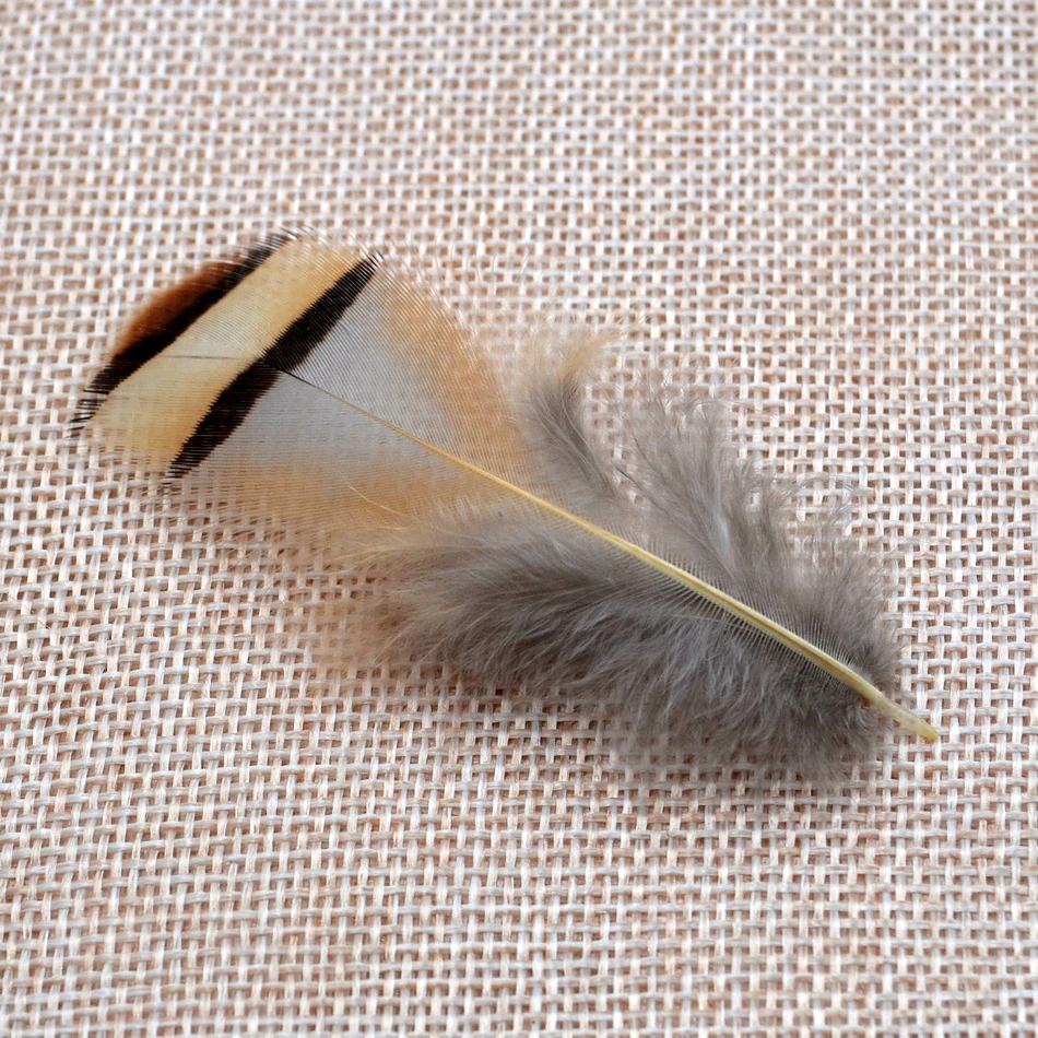 MNFT 100PCS Ginger Color Pheasant Feather Black Striped Hen Feathers Fly Fishing Lures