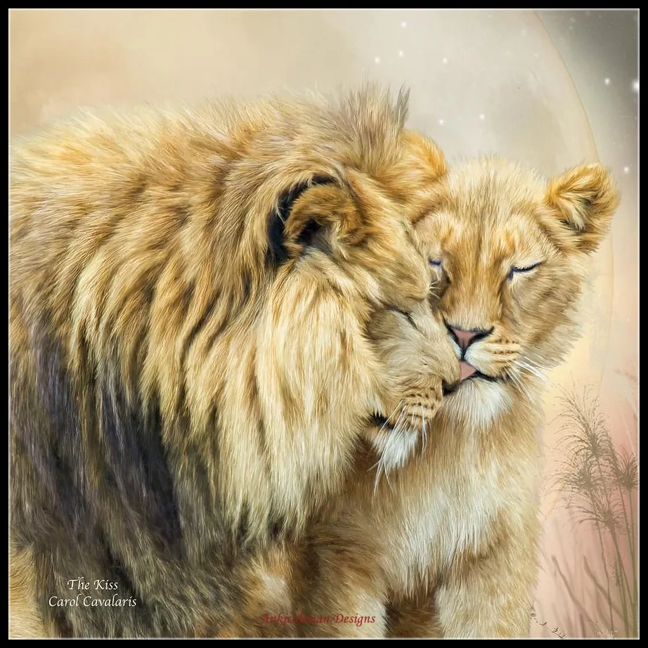 Embroidery Counted Cross Stitch Kits Needlework - Crafts 14 ct DMC Color DIY Arts Handmade Home Decor - Lion Kiss