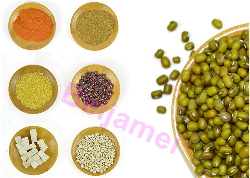 BEIJAMEI 2500g 4500g Electric Grain Grinder Machine Swing Type Mill Powder for Grinding Various Spice Herb Chinese Medicine