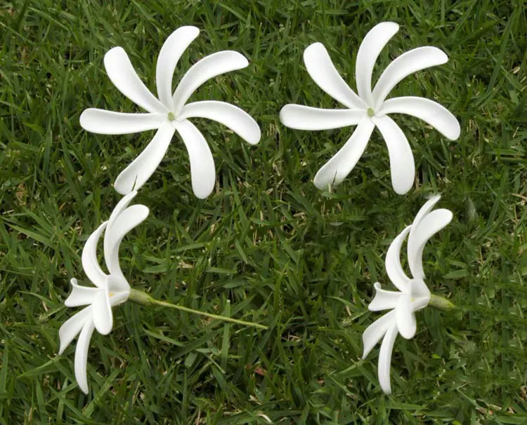 Free Shipping F001 100pcs/ lot 10 CM Foam tiare hair pick  women wear hair accessories Hawaii tropical flower