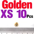 10PCS Golden XS