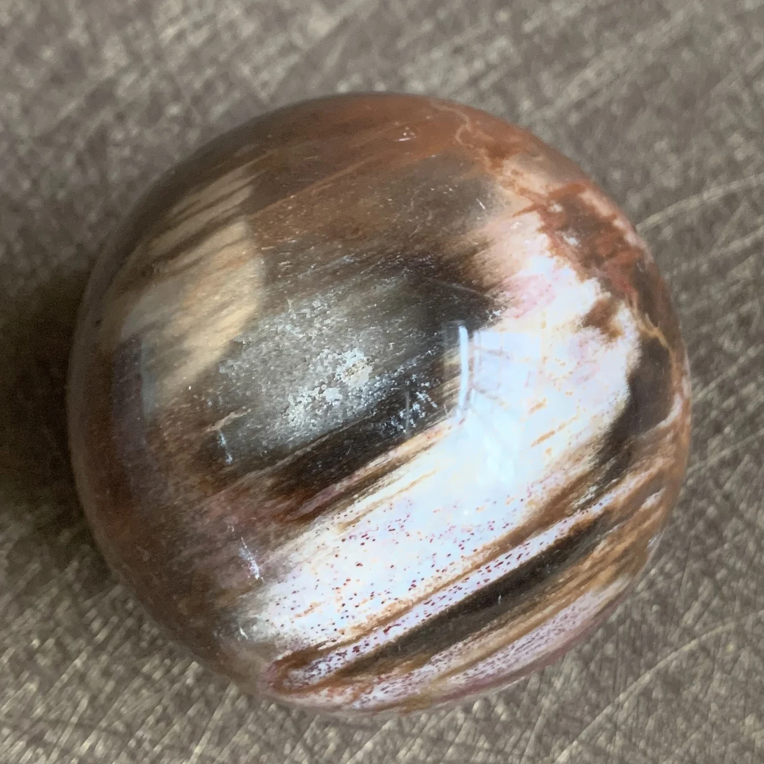 Natural Stone Petrified Wood Sphere Rock Polished Crystal Ball Quartz Feng Shui 2022 Decoration Gift Reiki Healing