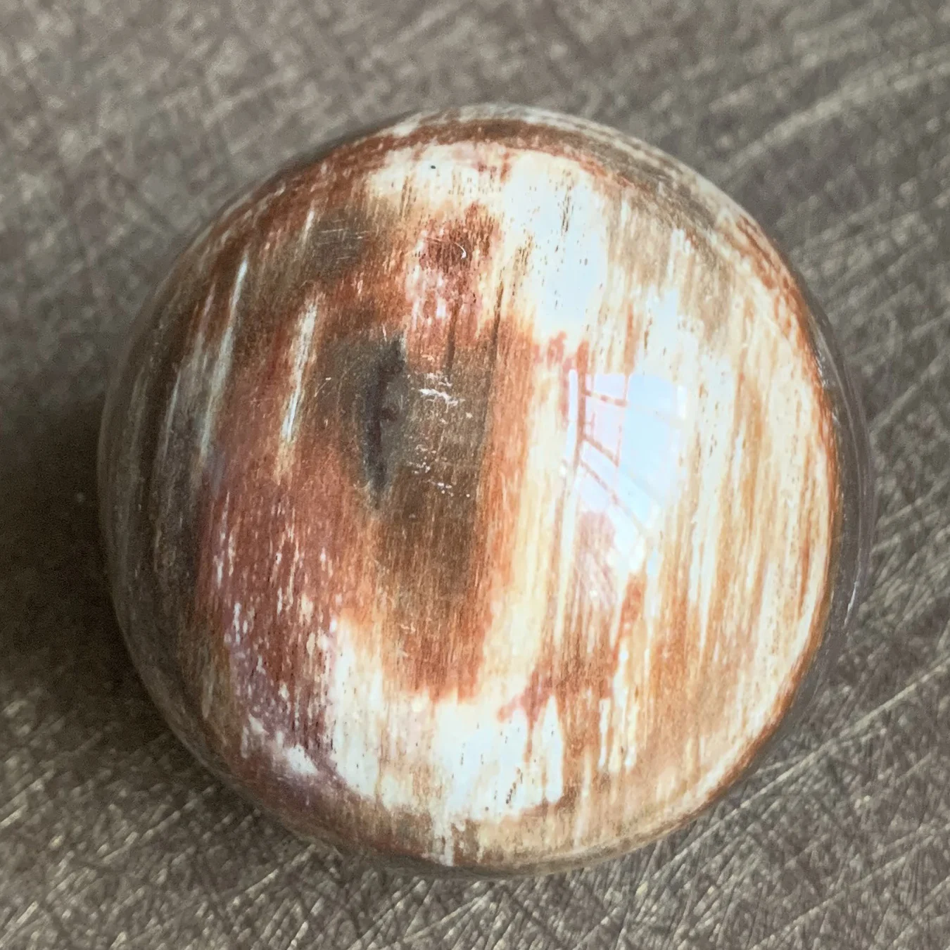 Natural Stone Petrified Wood Sphere Rock Polished Crystal Ball Quartz Feng Shui 2022 Decoration Gift Reiki Healing