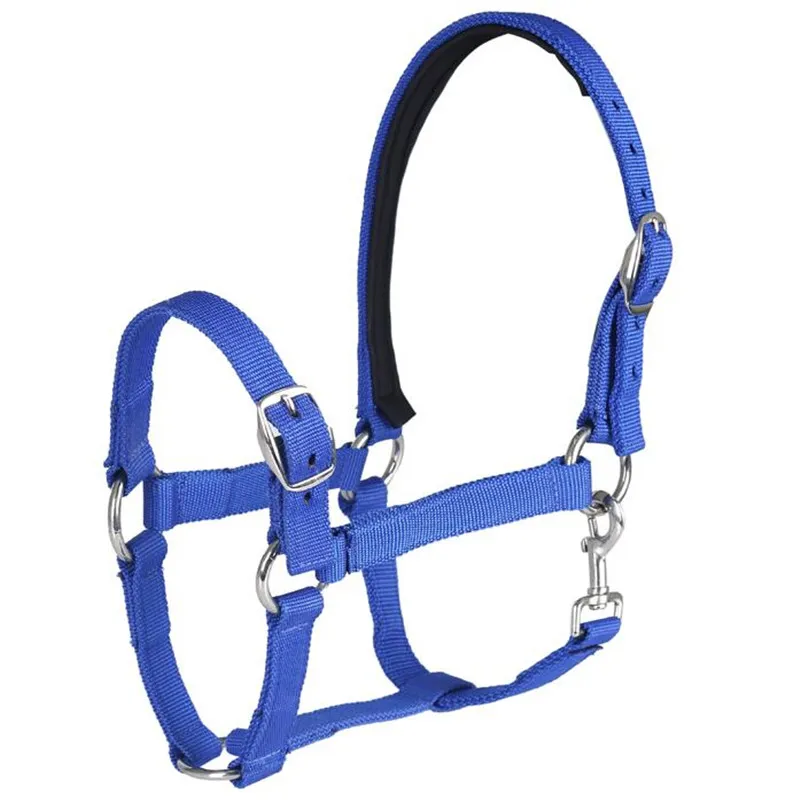 Cavassion-Adjustable PP Equestrian Bridle Saddlery Equipment, Horse Halter, Horse Riding