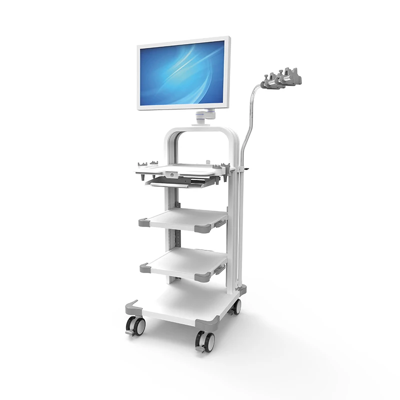 New Endoscopic Mobile Cart Computer