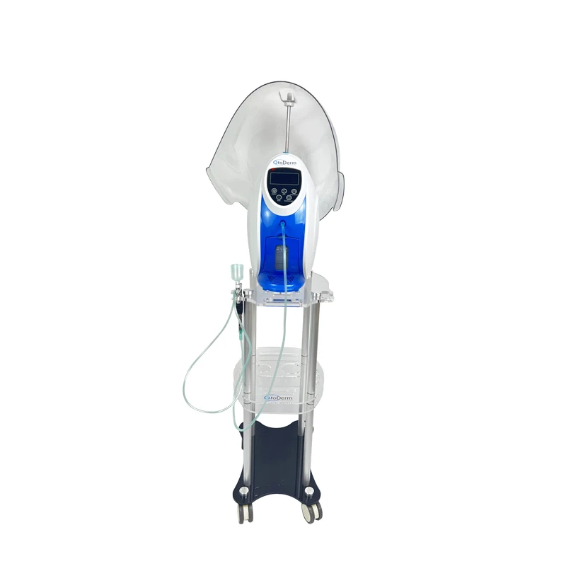 Hot Sale O2toderm Oxygen Therapy Machine Spray Gun For Facial Whitening Wrinkle Removal Device