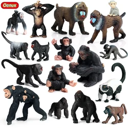 Oenux Original Wild Animal Action Figures Monkey Chimpanzee Orangutan Golden Gibbon Model PVC Miniature Kids Educational Toys