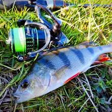 Ultralight Carbon Spinning Reel for Light Game #2