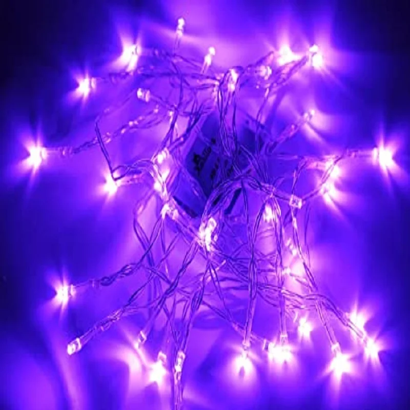 GYPSOPHILA 10 meters, 100 LED Christmas lights, purple or purpura color, IP65, for party decoration and celebrations (10m x 2)