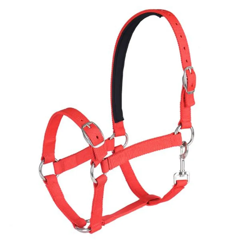 Cavassion-Adjustable PP Equestrian Bridle Saddlery Equipment, Horse Halter, Horse Riding