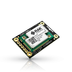 RAK Nordic nRF52840 BLE Core Module for LoRaWAN with LoRa SX1262 | RAK4631 / RAK4631-R| RAKwireless