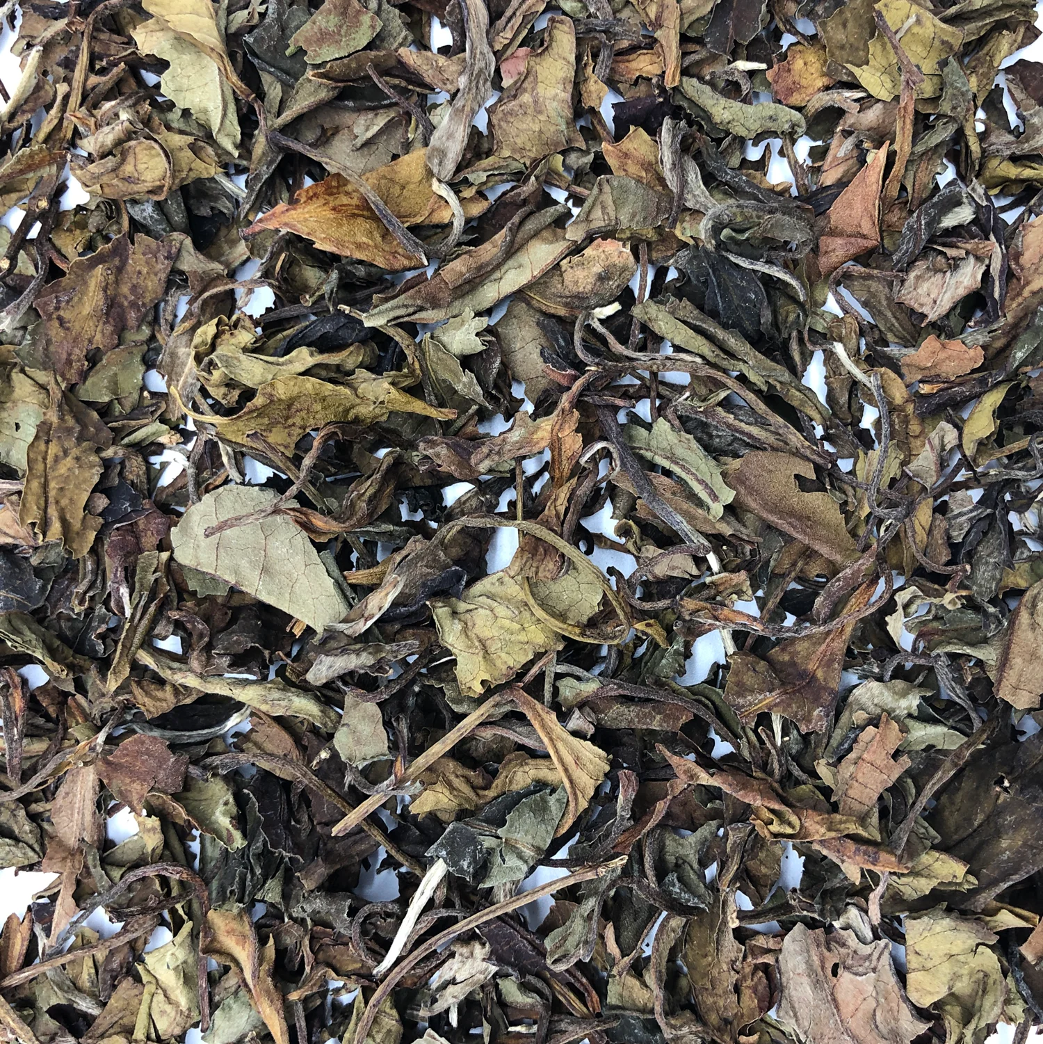ABALORI | White tea Pai Mu Tan 100 grams | Pai Bu Dan | Top | Mild flavor minimal astringence | Loose leaves