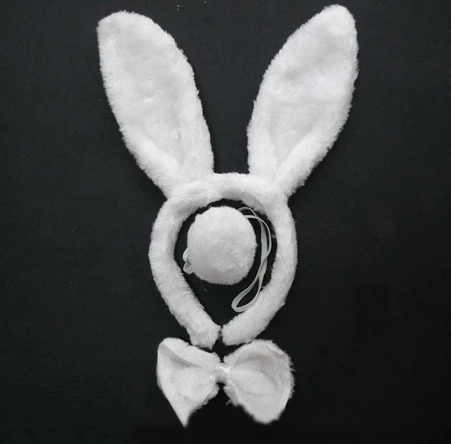 Rabbit Costume Set Crown Bow Tie Tail White Color 436143048