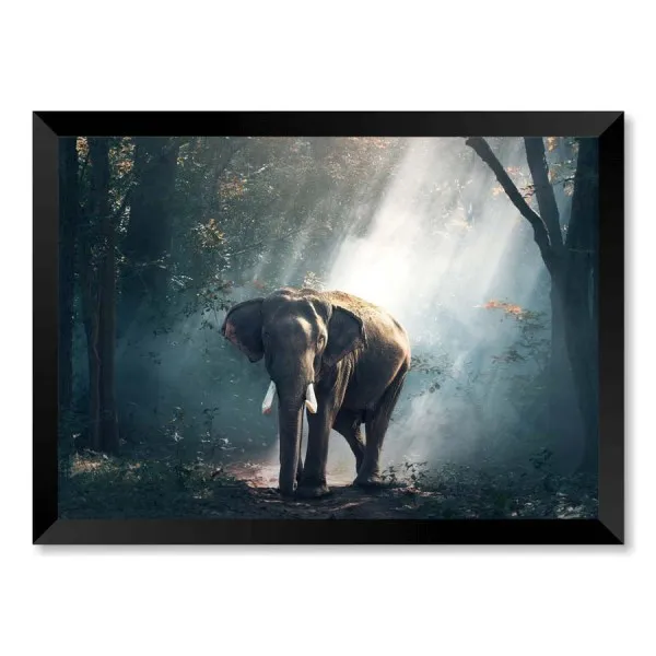 Quadro Elefante Time To Dream Com Vidro