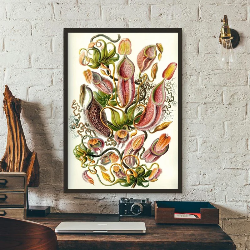 Carnivorous Plant Poster Haeckel Nepenthaceae Tropical Pitcher Plants Monkey Cups Prints Wall Art Painting Canvas Picture Decor