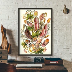 Carnivorous Plant Poster Haeckel Nepenthaceae Tropical Pitcher Plants Monkey Cups Prints Wall Art Painting Canvas Picture Decor