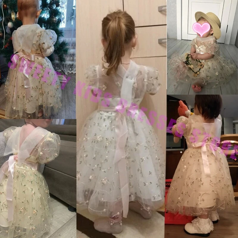 Infant Bow 1st birthday Party Baby Dress Costumes Flower Embroidery Wedding Princess Dress For Girls White First Communion Dress