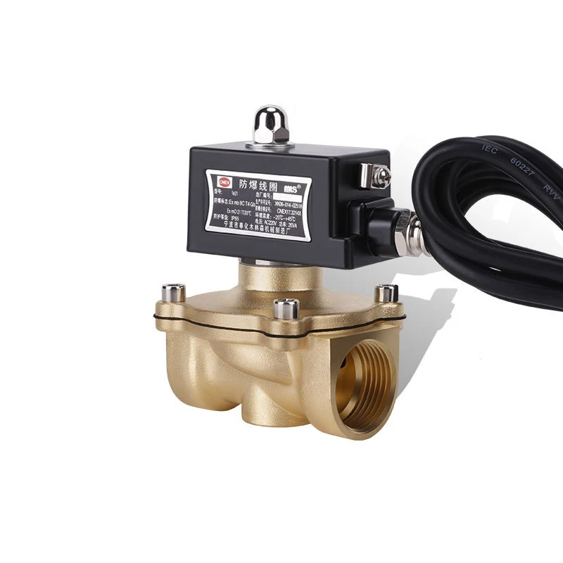 DN25 Brass Normally Closed  Explosion Solenoid Valve For Gas natural gas