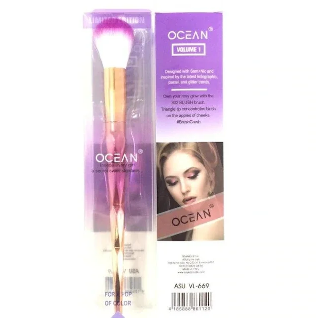 Escova de blush do oceano 434173490