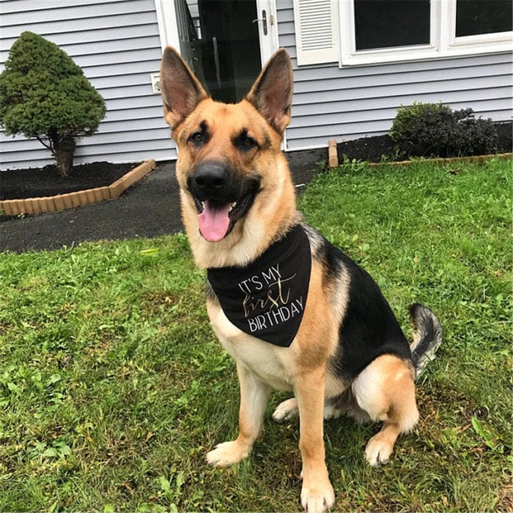 Custom Dog Birthday Bandana with Glitter Gold 