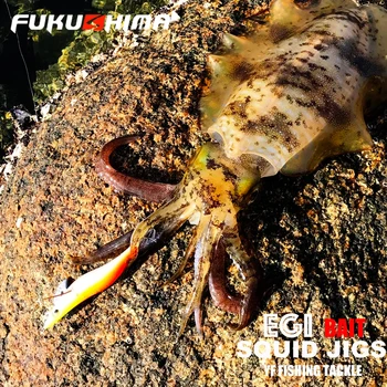 FUKUSHIMA 2-3.5 ปลาหมึก JIGS EGI LURE ตกปลาไม้กุ้งเหยื่อ CUTTLEFISH OCTOPS GLOW TAIL SHARP HOOKS 21 กรัม ROCK & เรือตกปลา