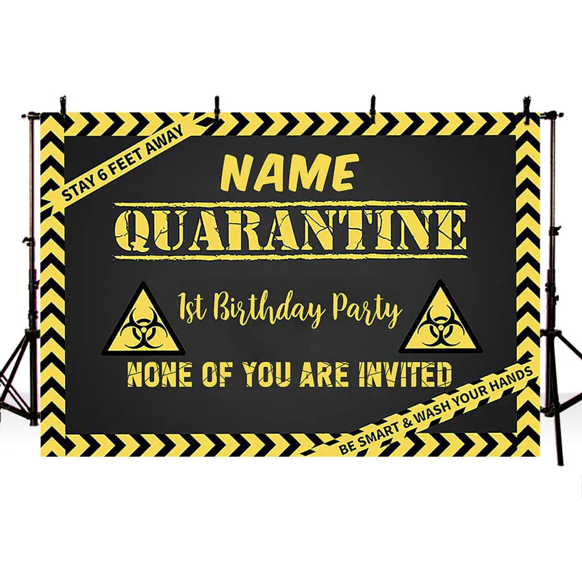 Quarantine Birthday Party Backdrop Virtual Zoom Hangout Quarantine Distancing Birthday Party No One Decoration Banner Background