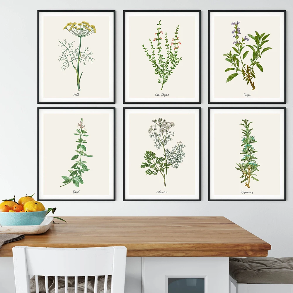 Herbs Canvas Art Painting Vintage Illustrations Posters and Prints Culinary Herbal Botanical Farmhouse Kitchen Wall Art Picture