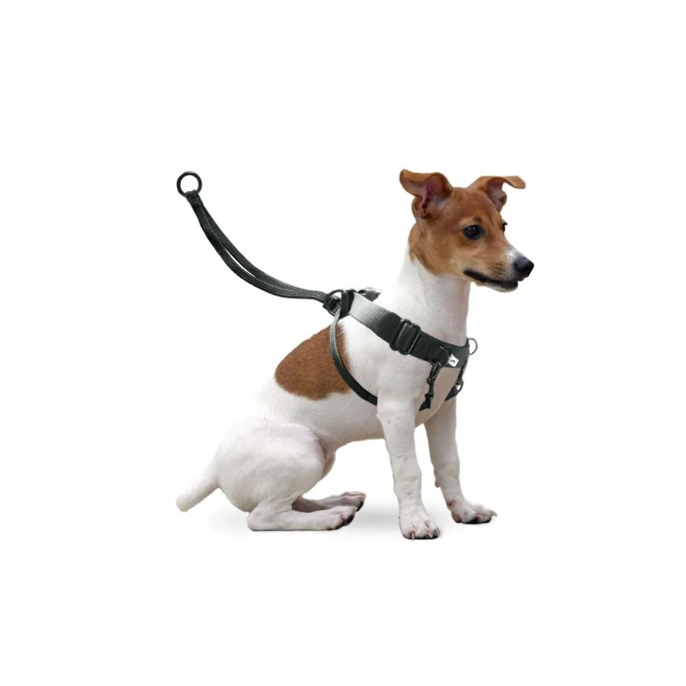 Easy Walker training harness | Dog training harness | Easy Walker harness