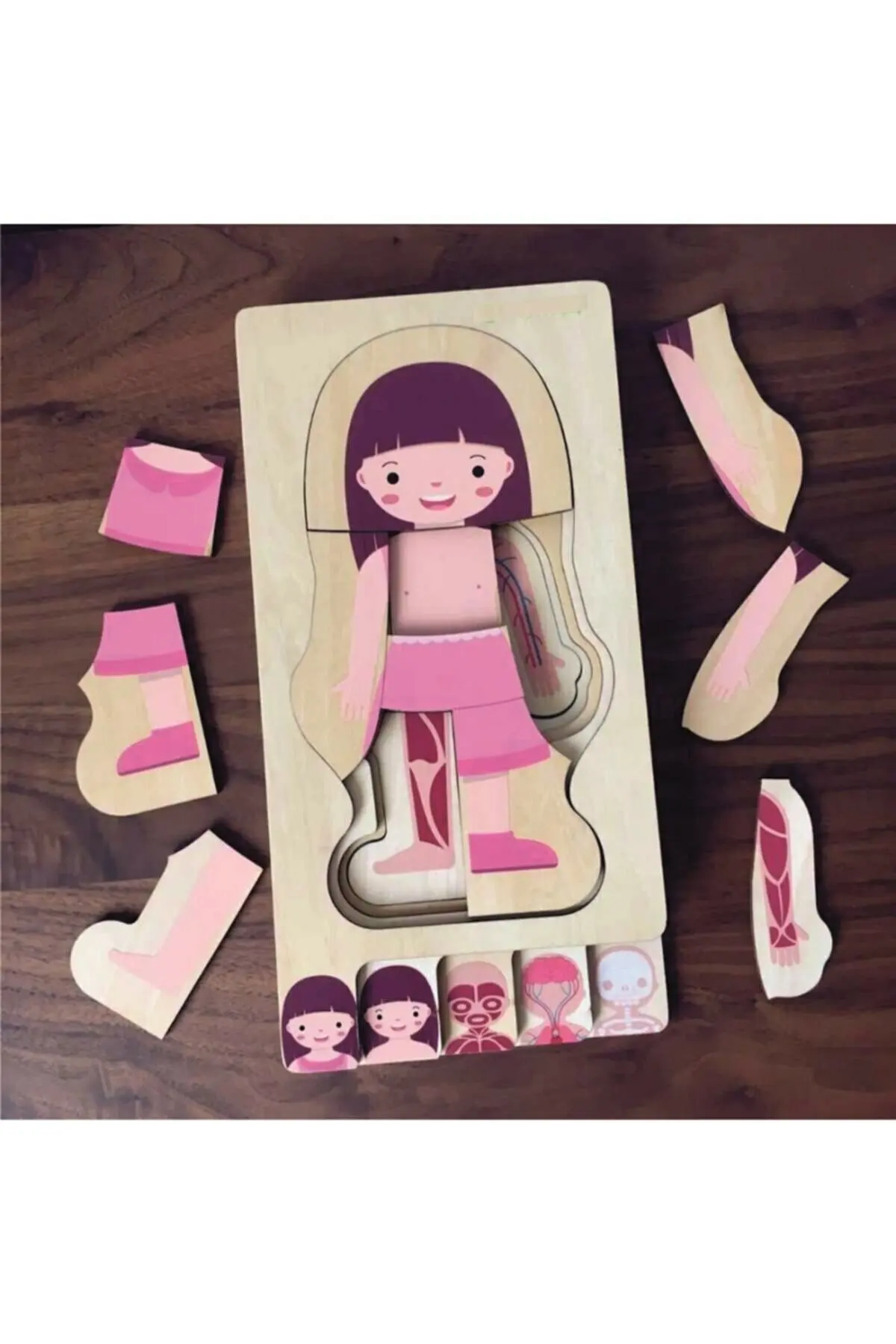 Human Body Anatomy Learning Wooden Puzzle Montessori educational puzzle 4-layer toy puzzle that develops focusing ability