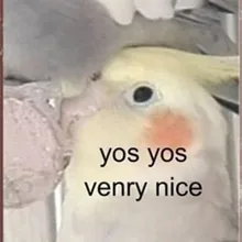 Š***a