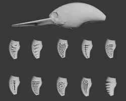 wLure Hard Plastic 3D Stencil for UPC733