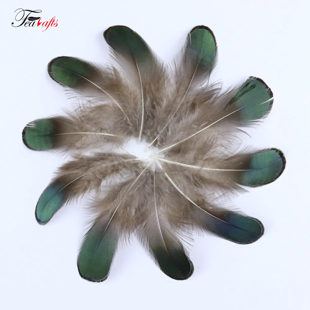 50PCS Natural Pheasant Rooster Feathers Decorative for DIY Earrings Creation Materials Clothes Sewing Accessories Plumas Crafts