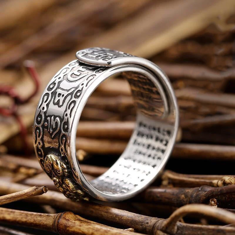 Vintage Pixiu Ring Chinesischer Feng Shui Unisex Amulett Verstellbarer Ring Für Männer Frauen Bringen Reichtum Viel Glück Schmuck Geschenk – Detail 1
