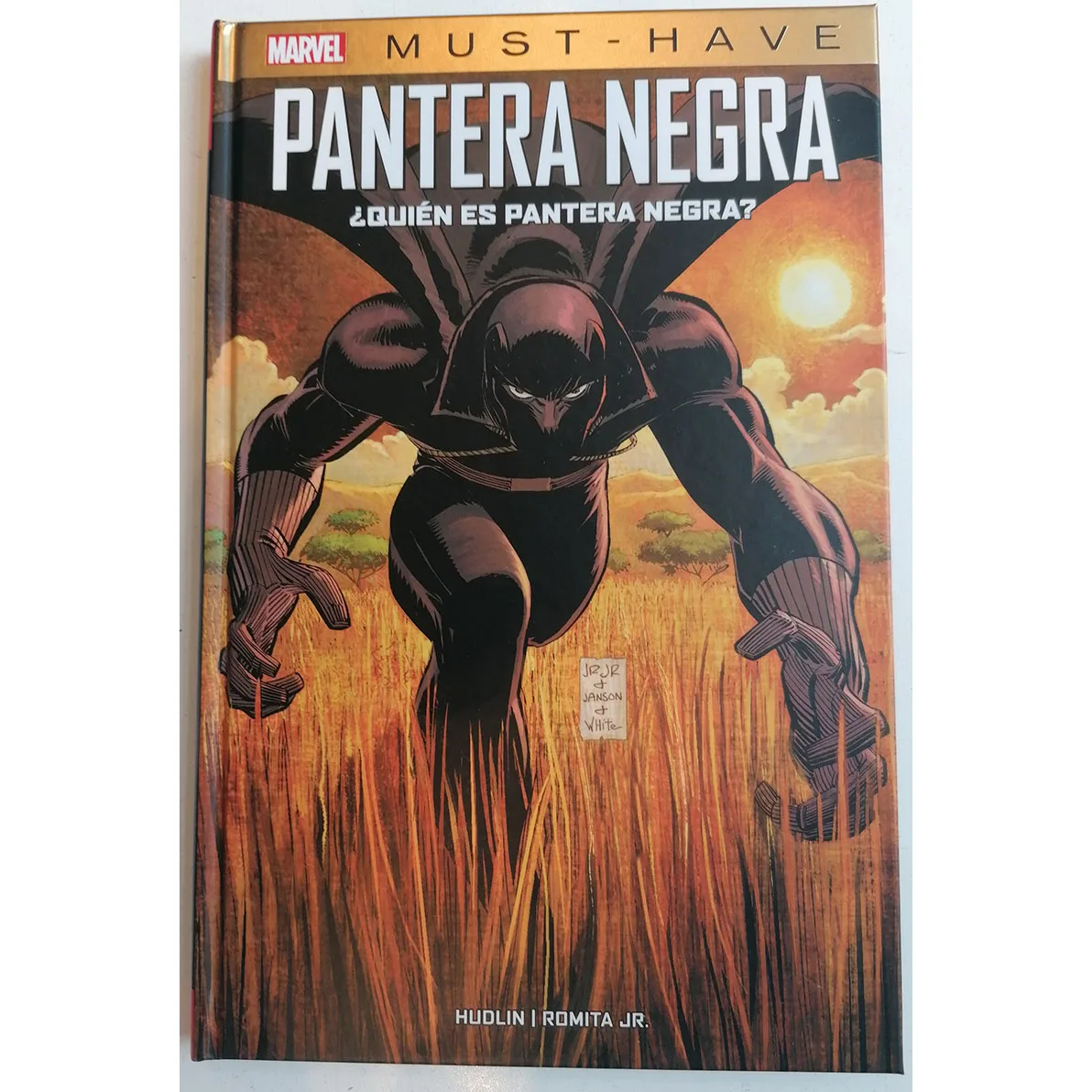 MARVEL MUST HAVE. Who's black panther?, ED. PANINI, year 2021, author JOHN ROMITA JR, comic BOOK in Spanish, TEBEO