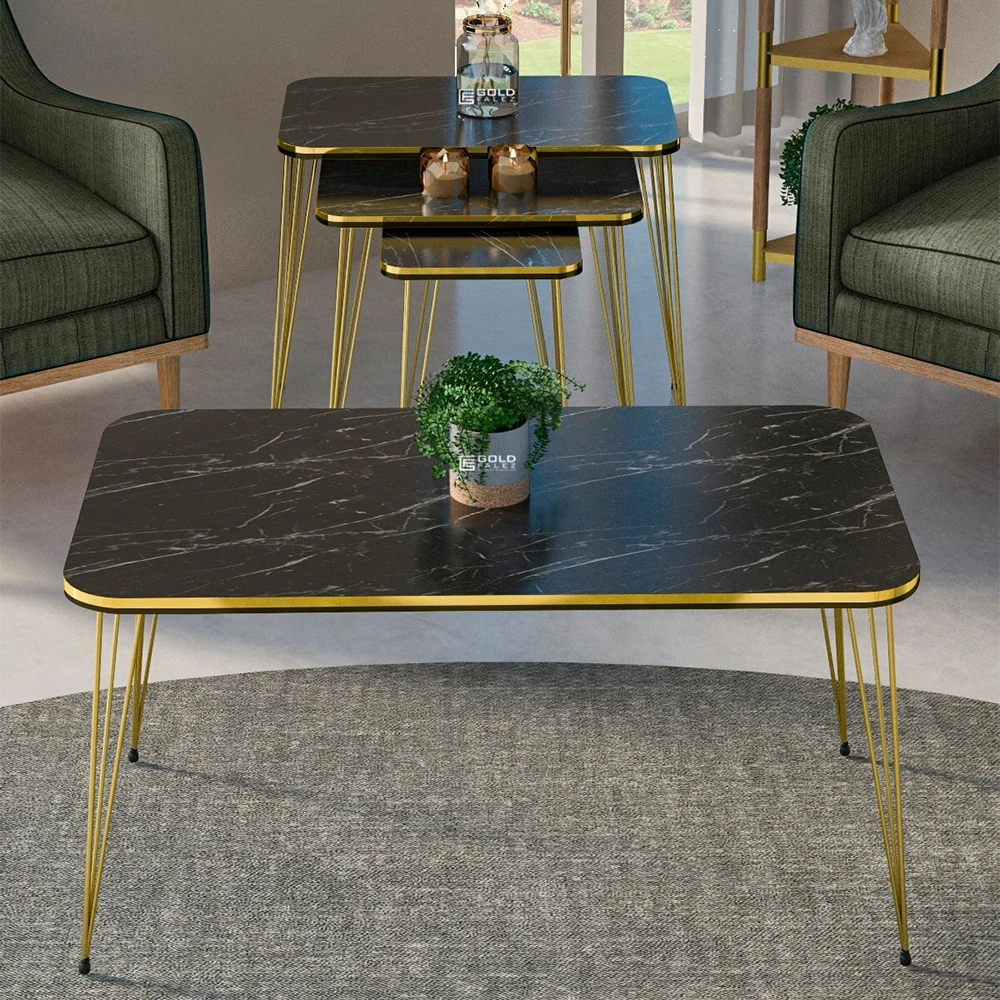 Zigon Coffee Table And Coffee Table in the Middle Rectangle Set Double Gold Wire Foot Mounted Tea Coffee Service Useful