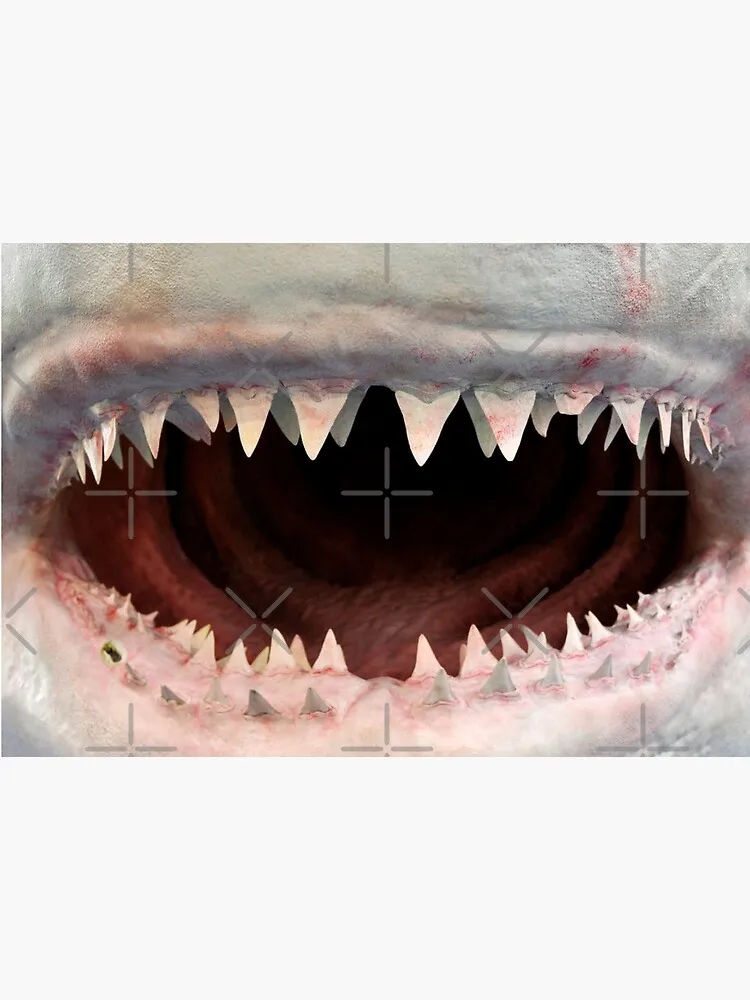 Shark Jaw Masker Gezichtsmasker Filter Pocket Doek Herbruikbare Wasbare