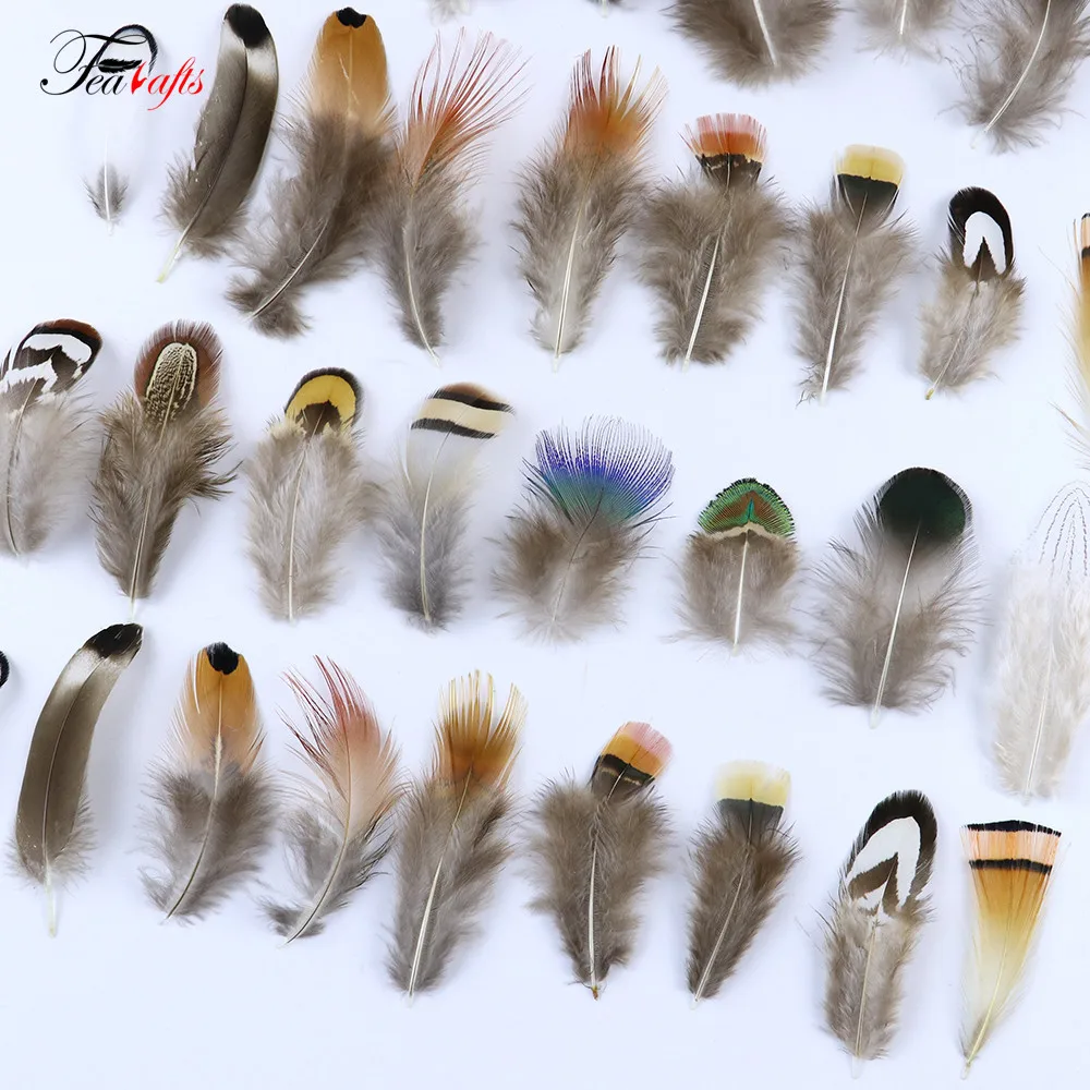 50PCS Natural Pheasant Rooster Feathers Decorative for DIY Earrings Creation Materials Clothes Sewing Accessories Plumas Crafts