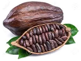 Commercial Cocoa Grinder Machine Cocoa Powder Grinding Machine Line