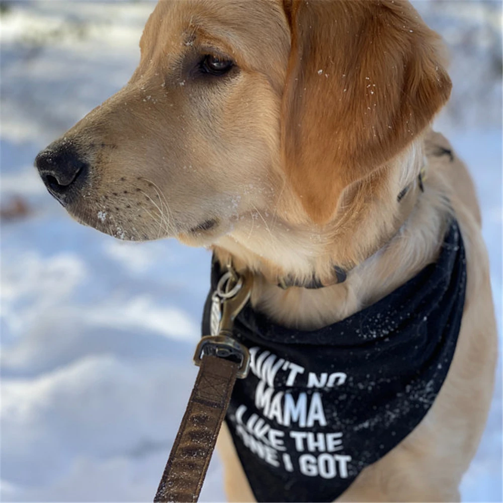 Personalised Dog Bandana Ain't No Mama Like The One I Got Color Options Dog Accessories Pet Accessories for Dog Wedding Birthday