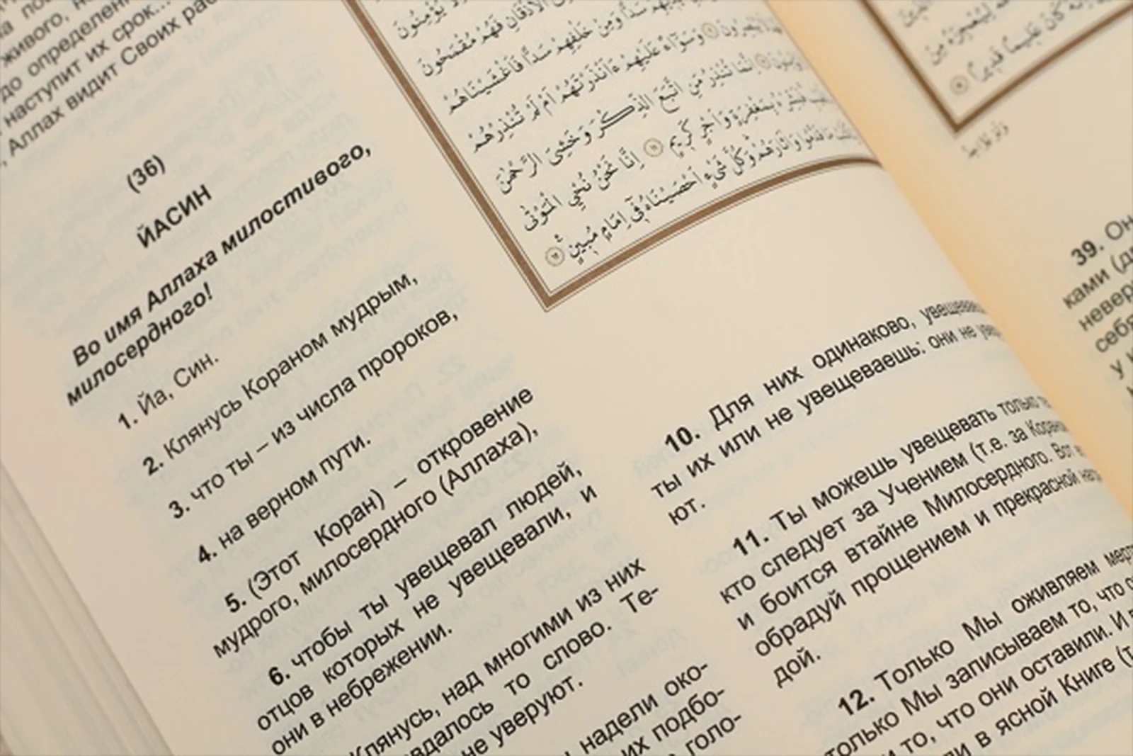 Kopah Translation of the Holy Quran Russian Medium Computer Line  Religion & Spirituality Turkish Religious Foundation