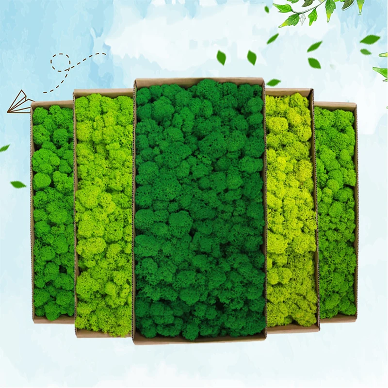 

500g Artificial Natural Plant Eternal Life Moss Mini Micro Landscape Decor Accessories Home Garden Ornament DIY Flower Crafts