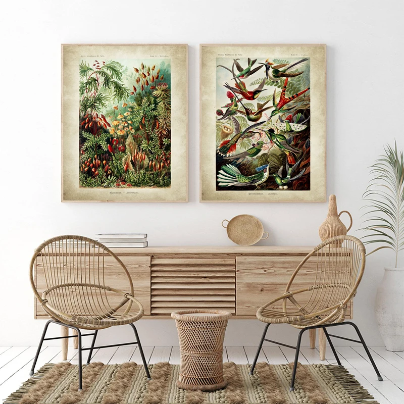 Ernst هايكل علم الأحياء الملصقات شجرة النخيل يطبع خمر الطنان النباتية الاستوائية الرسم على لوحات القماش الجدارية صور ديكور #6