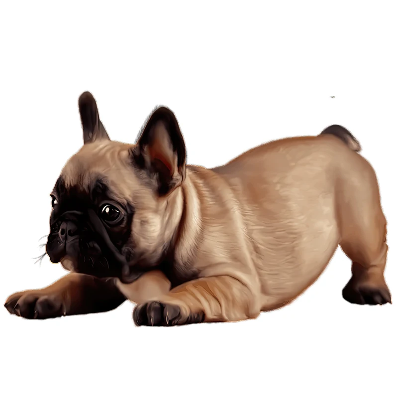 Three Ratels QD118 Exquisite hand painting English Bulldog Wall sticker for home decoration kid\'s bedroom Decal