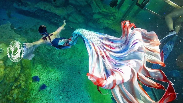 Goldfish Mermaid Tail 6 Blue Red Swimsuit Mermaid Jumpsuit Tails Cosplay Costume Swimwear Monofin Fin Mermaids AliExpress