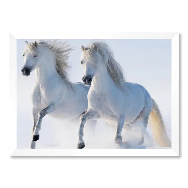 Quadro Cavalo Branco Radiante de Luz Com Vidro