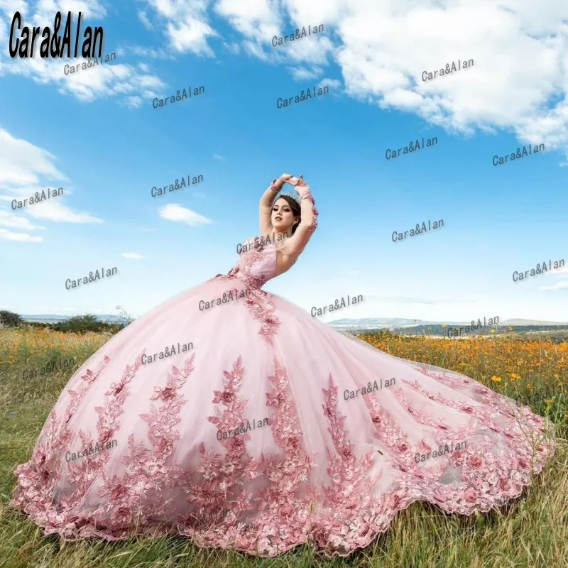 Elegant Pink Quinceanera ชุดดอกไม้ Appliques Sweet 16ประกวด Gowns แขนยาว Vestidos De Xv ปี