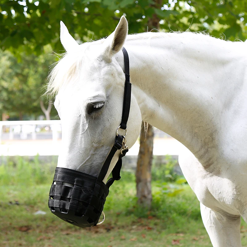 Cavpassion-Horse Grazing Muzzle with Halter, Equestrian Equipment, Easy Breathe, Comfortable, 8216012