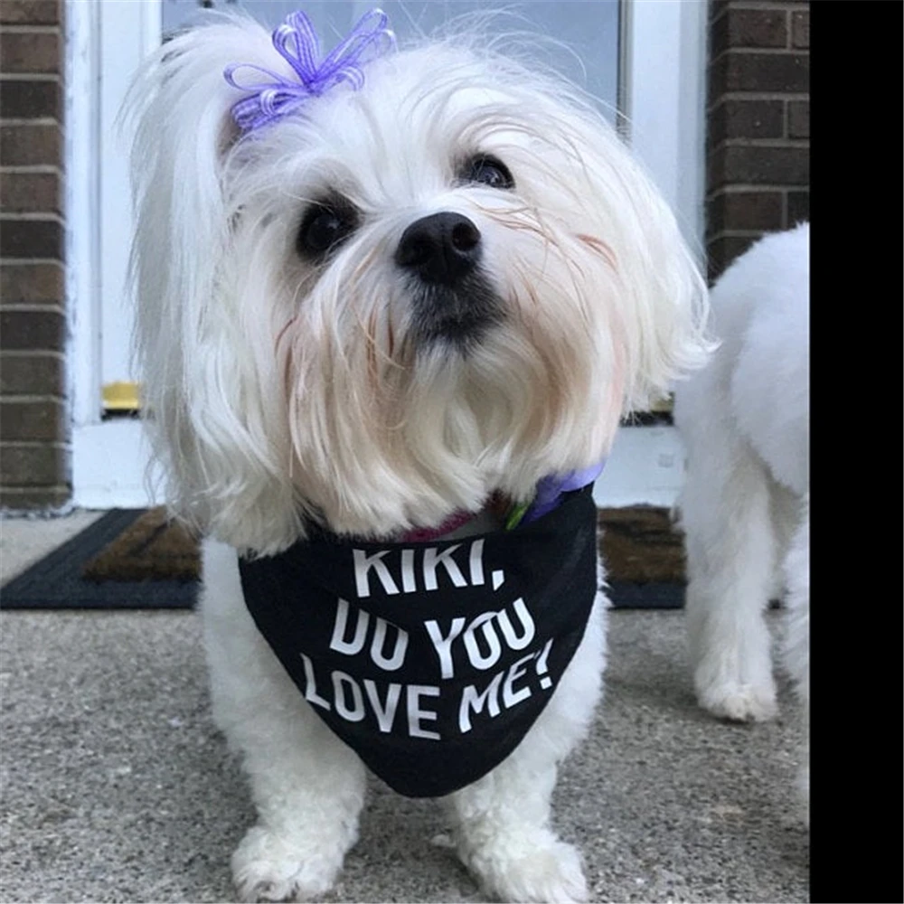 Personalized Dog Bandana, Do You Love Me? Pet Accessories for Dogs, Color Options, Dog Accessories