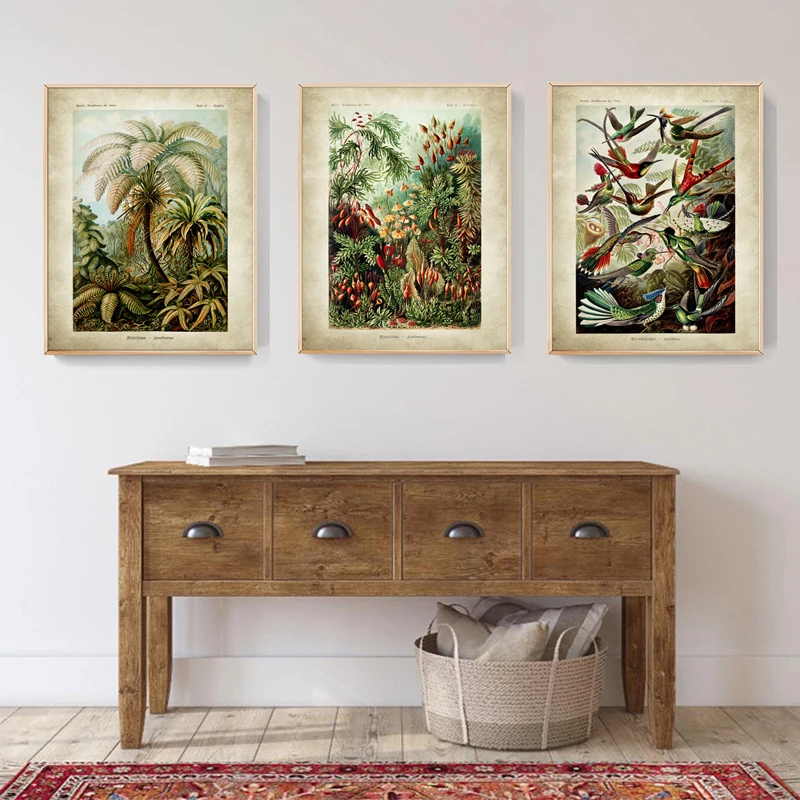 Ernst Haeckel Biology Posters Palm Tree Prints Vintage Hummingbird Botanical Tropical Wall Art Canvas Painting Pictures Decor